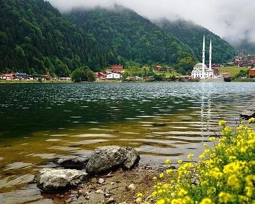 Blacksea Tour package