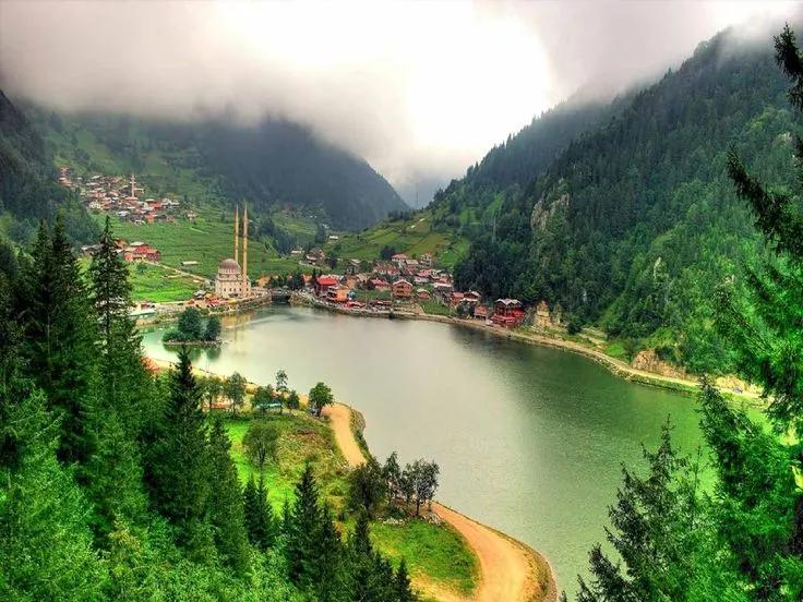 Blacksea Tour package