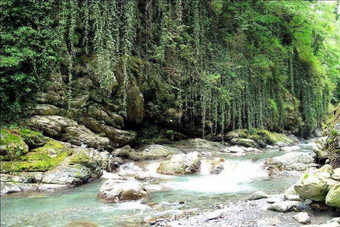 Lagodekhi Adventure: Discover the Wild in Just 2 Days